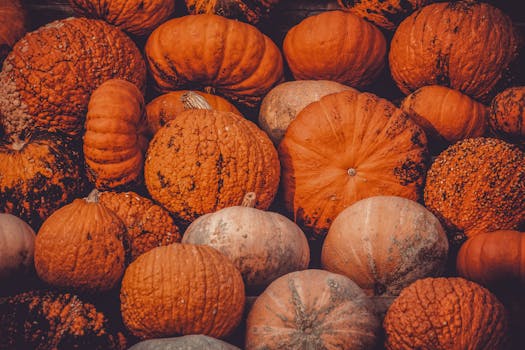 colorful display of fruits and vegetables