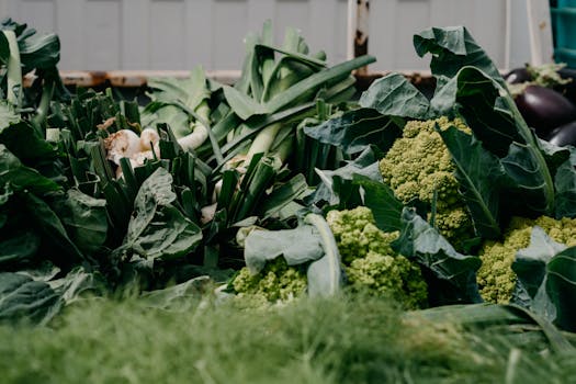 variety of foods rich in minerals