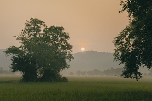 a peaceful nature scene