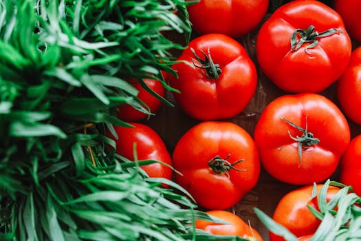 organic farm with vibrant vegetables