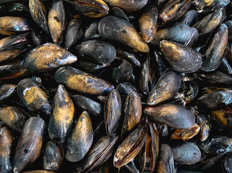 nutrient-rich shellfish