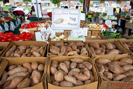 assorted fruits and vegetables