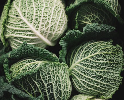 leafy greens rich in vitamin K