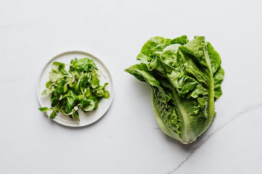 various green leafy vegetables rich in vitamin K